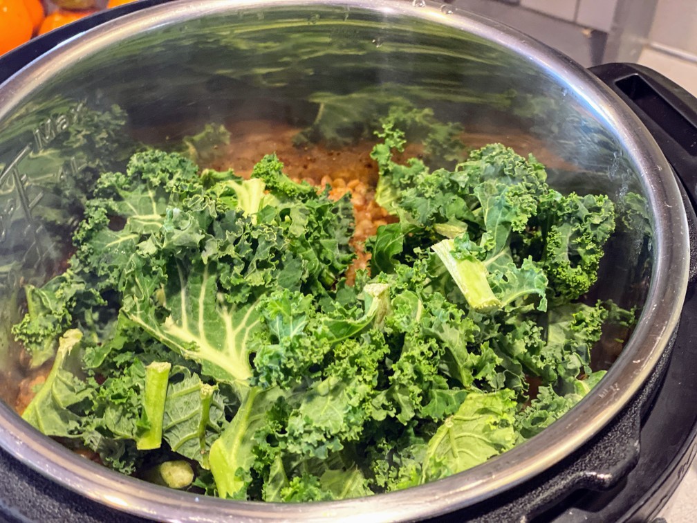 food by joe recipe vegan vegetarian lentil soup instant pot healthy